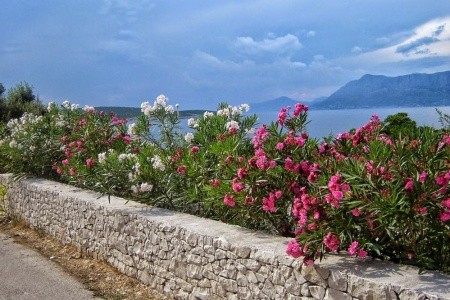 Apartmány Gracija - 26