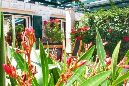 Apartmány Gracija - 35