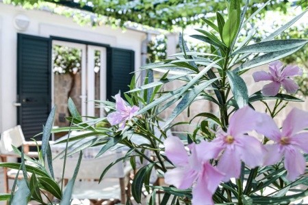 Apartmány Gracija - 90