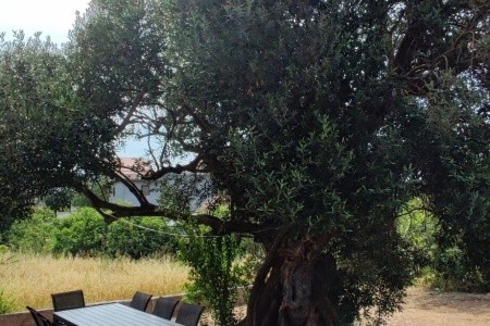 Apartmán Ruben - 11