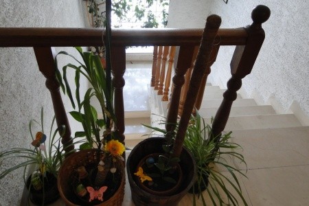 Apartmány 1657-49 - 3