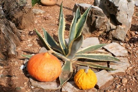 Apartmány 1355-336 - 7