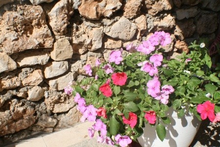 Apartmány 1355-336 - 12