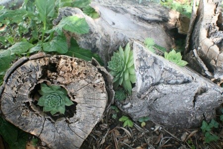 Apartmány 1355-336 - 13