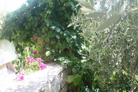 Apartmány 1355-336 - 20