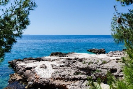 Apartmány 1355-512 - 4