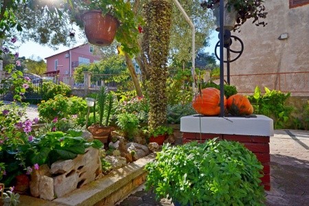 Apartmány 1355-665 - 12