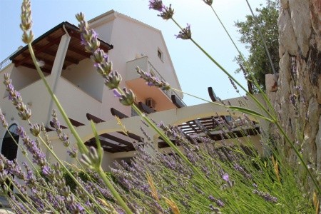 Apartmány 1355-697 - 4