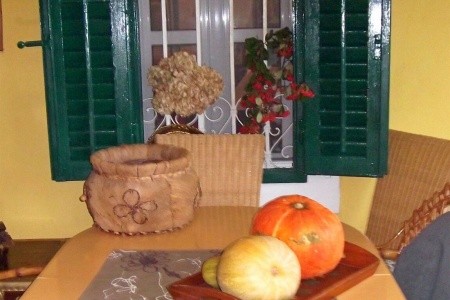 Apartmány 1355-911 - 34