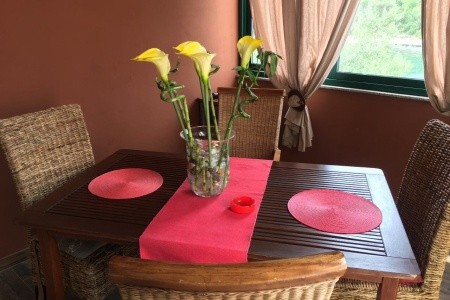 Apartmány 1355-911 - 84