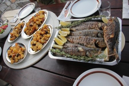 Robinzonáda Merlot - 34