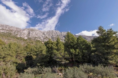 Apartmány Medunika - 84