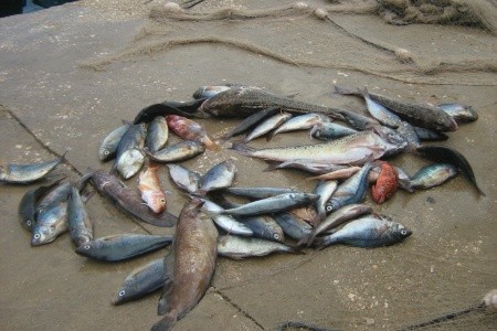 Apartmány Marina	(Zaklopatica) - 7