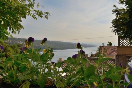 Apartmány 1355-1489 - 5