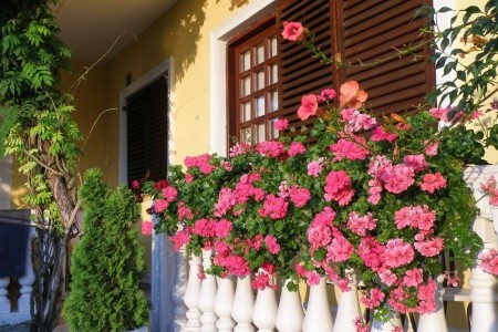 Apartmány 1355-1489 - 9