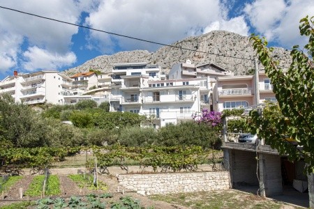 Apartmány 1355-1376 - 5