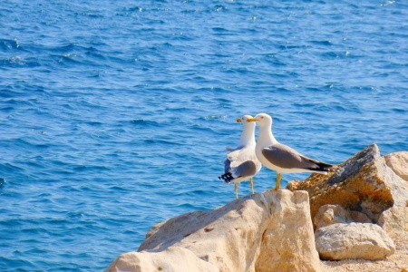 Apartmány 1355-1323 - 4