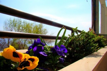 Apartmány 1355-1323 - 5