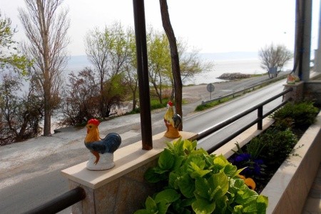 Apartmány 1355-1323 - 11