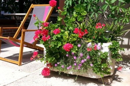 Apartmány 1355-1305 - 6