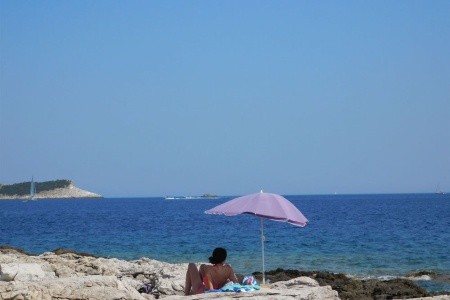 Apartmány 1355-1305 - 12