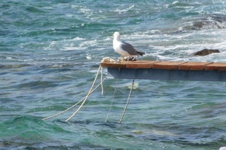 Apartmány 1355-1305 - 18