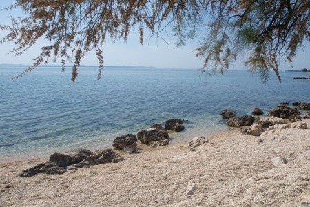 Chorvátsko Zadar Apartmány Lotos 8 dňový pobyt Bez stravy Vlastná July 2026 (18/07/26-25/07/26)