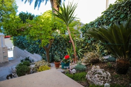 Apartments Goran - 11