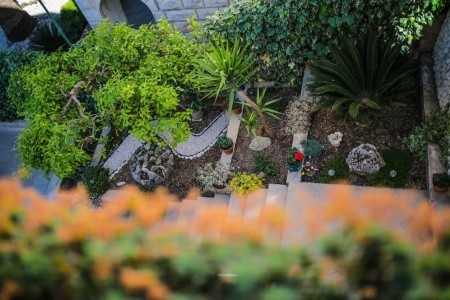 Apartments Goran - 12