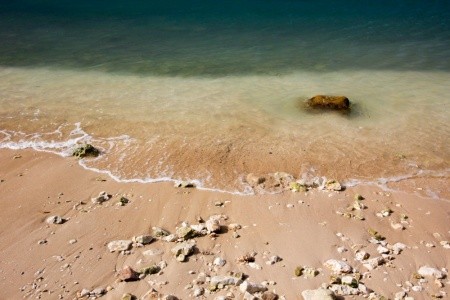 Apartments Goran - 14