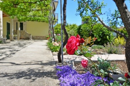 Apartmány Viola - 7