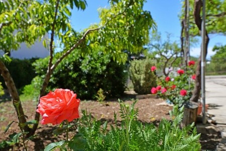 Apartmány Viola - 11