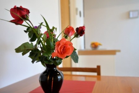 Apartmány Viola - 29