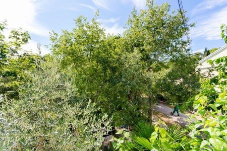 Apartmány 1355-3135 - 44