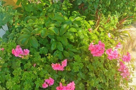 Apartmány 1355-3399 - 6