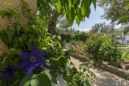 Apartmány 1355-3399 - 12