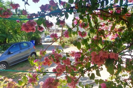 Apartmány 1355-3536 - 27