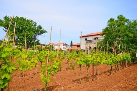 Apartmány 1355-3480 - 5