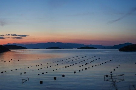 Chorvátsko Pelješac Apartmány Dora 8 dňový pobyt Bez stravy Vlastná September 2026 (19/09/26-26/09/26)