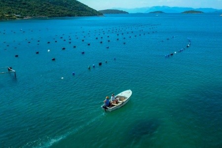 Chorvátsko Pelješac Apartmány Dora 8 dňový pobyt Bez stravy Vlastná September 2026 (19/09/26-26/09/26)