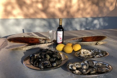 Chorvátsko Pelješac Apartmány Dora 8 dňový pobyt Bez stravy Vlastná September 2026 (19/09/26-26/09/26)