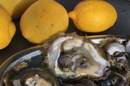 Chorvátsko Pelješac Apartmány Dora 8 dňový pobyt Bez stravy Vlastná September 2026 (19/09/26-26/09/26)