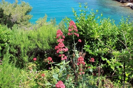 Apartmány 3298-142 - 12