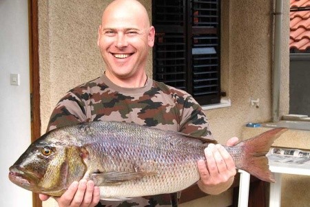 Chorvátsko Severná Dalmácia Apartmány Big Game 8 dňový pobyt Bez stravy Vlastná September 2026 ( 5/09/26-12/09/26)