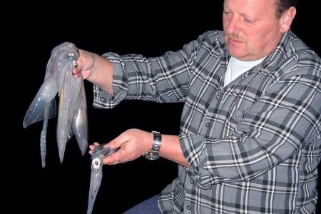 Chorvátsko Severná Dalmácia Apartmány Big Game 8 dňový pobyt Bez stravy Vlastná September 2026 ( 5/09/26-12/09/26)