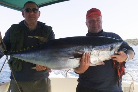 Chorvátsko Severná Dalmácia Apartmány Big Game 8 dňový pobyt Bez stravy Vlastná September 2026 ( 5/09/26-12/09/26)