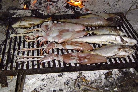 Chorvátsko Severná Dalmácia Apartmány Big Game 8 dňový pobyt Bez stravy Vlastná September 2026 ( 5/09/26-12/09/26)