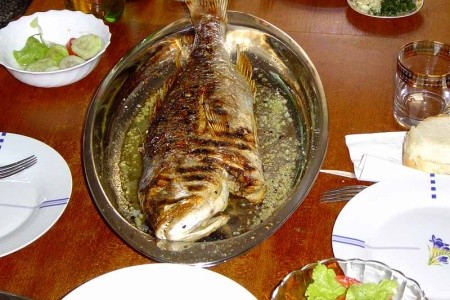 Chorvátsko Severná Dalmácia Apartmány Big Game 8 dňový pobyt Bez stravy Vlastná September 2026 ( 5/09/26-12/09/26)