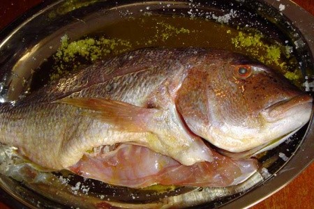 Chorvátsko Severná Dalmácia Apartmány Big Game 8 dňový pobyt Bez stravy Vlastná September 2026 ( 5/09/26-12/09/26)