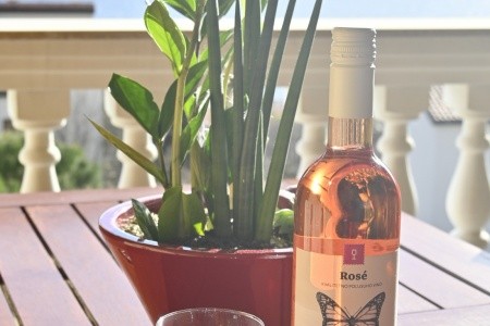 Apartmány Hortenzija - 22